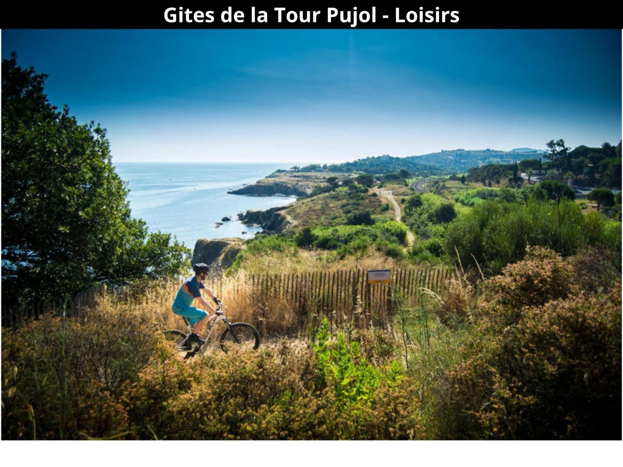 Les Gites De La Tour Pujol Argelès-sur-Mer Eksteriør bilde