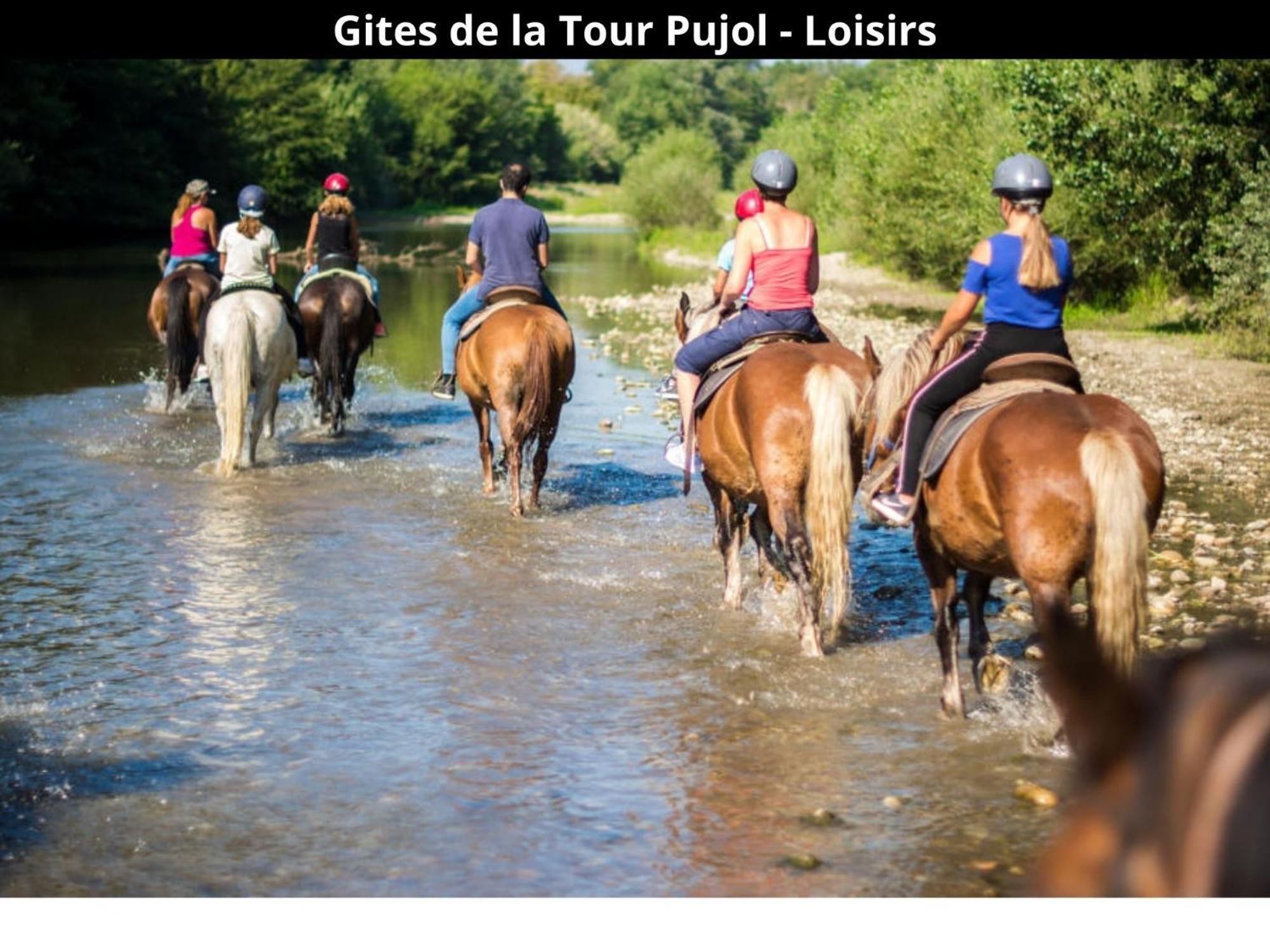 Les Gites De La Tour Pujol Argelès-sur-Mer Eksteriør bilde